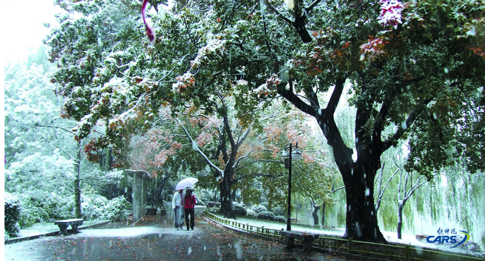 王德尊-3-雪中情